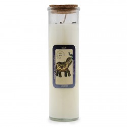 Magic Spell Candle – Luck